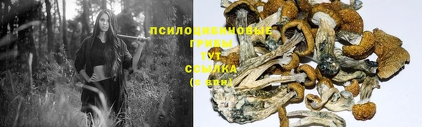 тгк Осташков