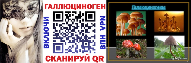 закладка Губкинский Псилоцибиновые грибы ЛСД