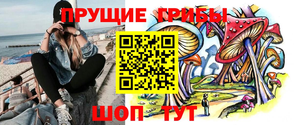 Галлюциногенные грибы Psilocybine cubensis Губкинский