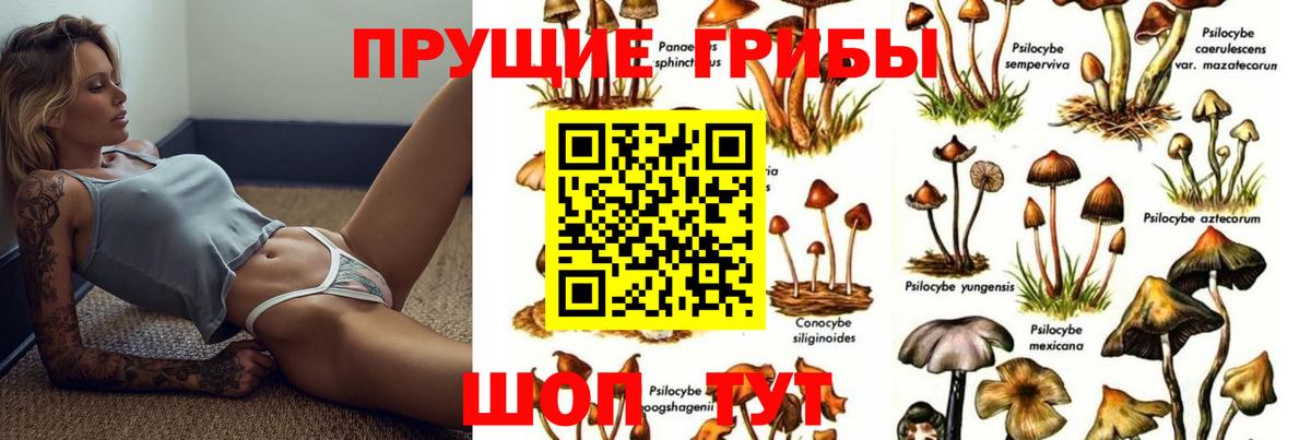 Губкинский  Галлюциногенные грибы Magic Shrooms  Вход с VPN 