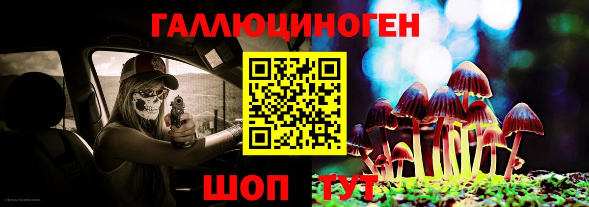 Псилоцибиновые грибы прущие грибы Губкинский